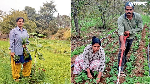Organic Farming 