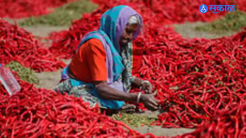 Jowar and chili 