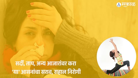 Winter Healthy Yoga: सर्दी, ताप, अन्य आजारांवर करा 'या' आसनांचा सराव, राहाल निरोगी