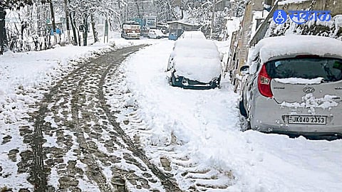 Kashmir Snowfall 