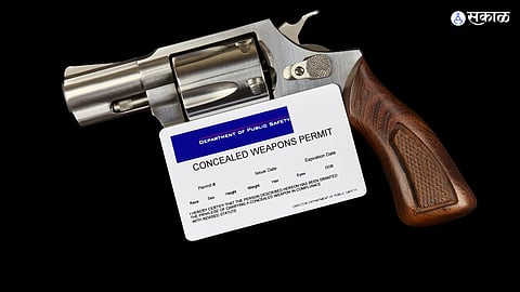 Arms License Misuse 