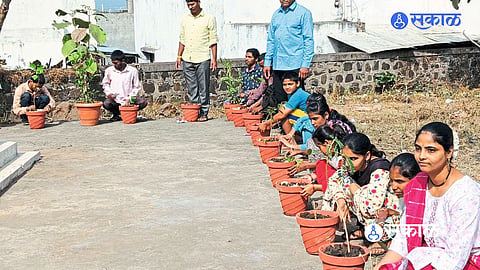 विविध वनौषधींच्या रोपांचे कुंड्यामध्ये रोपण 