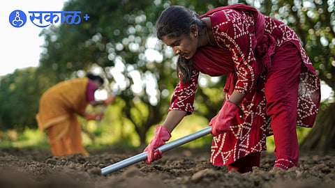 Indian lady farmer 