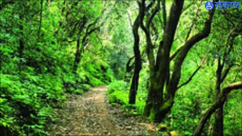Dajipur Sanctuary 