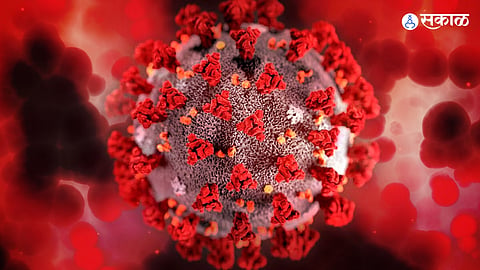 HMPV Virus 