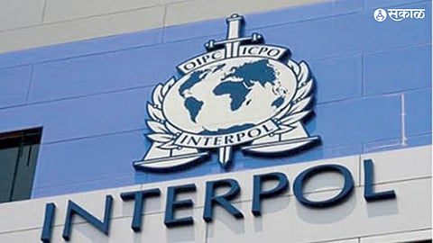 Interpol 