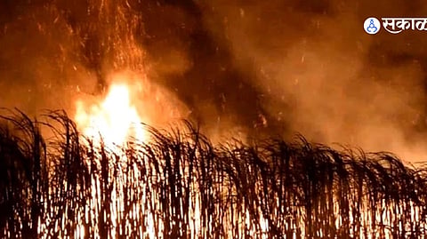 Fire caused by short circuit engulfs 45 acres of sugarcane in Brahmani; 16 farmers lose crops worth ₹85 lakh. 