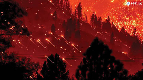 California Fire