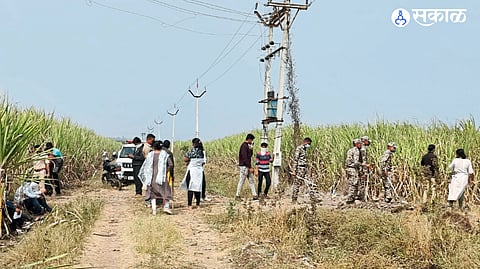 The shocking scene in Vidani where a murderer was found in a sugarcane field after a three-day search for body parts.