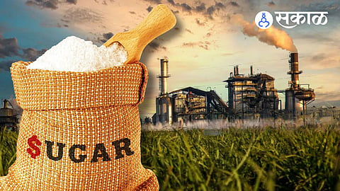 Central Government Sugar Factory