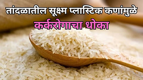 Rice Research Shivaji University