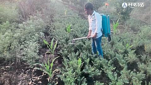 Farmers Innovation 