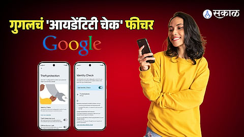 Google  identity check feature :