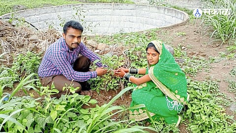 Dhulgav Gram Panchayat’s initiative encourages tree plantation before marriage registration to promote sustainability and environmental consciousness.