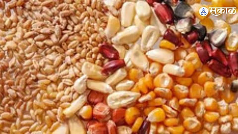 Primitive seeds 