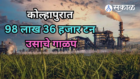 Sugarcane Season Kolhapur