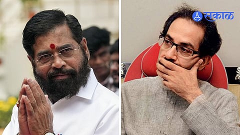 Uddhav Thackeray MPs