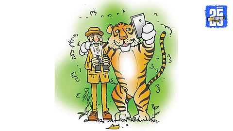Wildlife