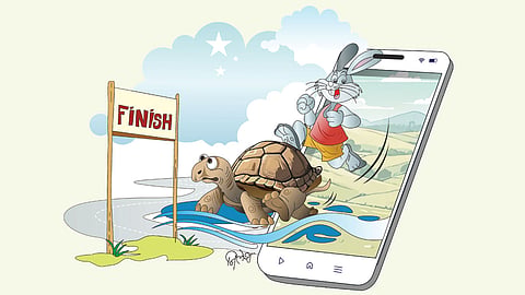 Rabbit Tortoise Race