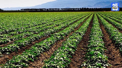 agriculture