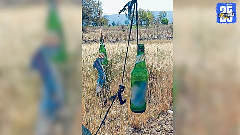 Crop Protection