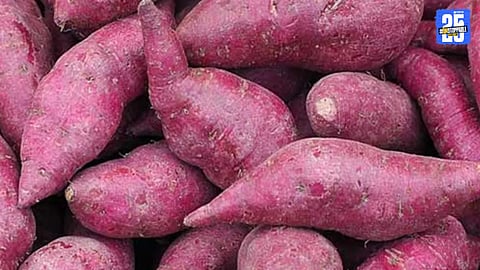 Ratala