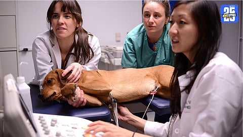 Veterinary College