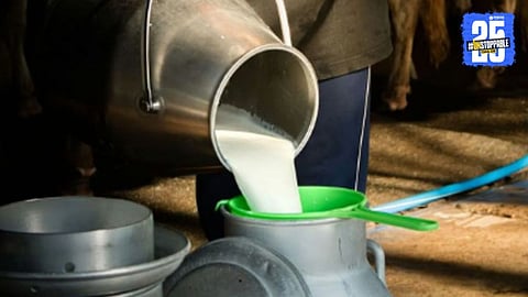 Deputy CM Pawar issues orders for action on milk adulteration after MLA Abhijit Patil's request."