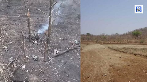 Satpura Wildfire