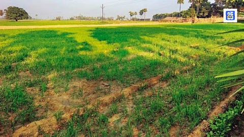 Demand for Land Sale