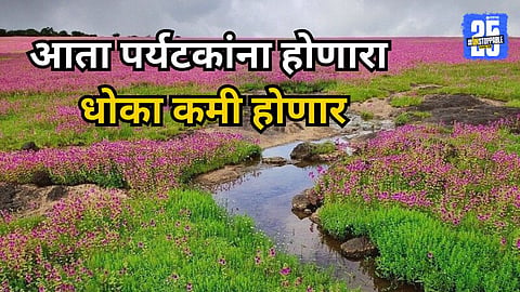 Kaas Pathar