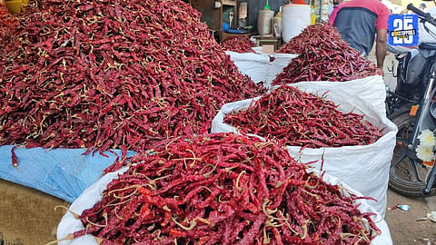 Chilli Price