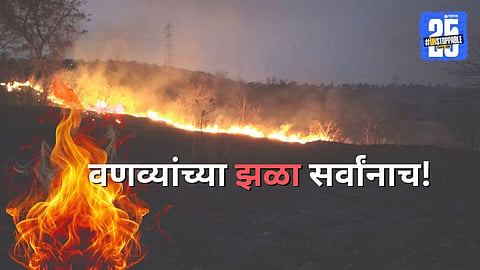 Kolhapur Forest Fire