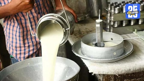 Milk Subsidy