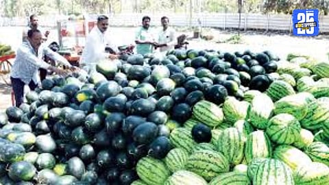 Watermelon Prices