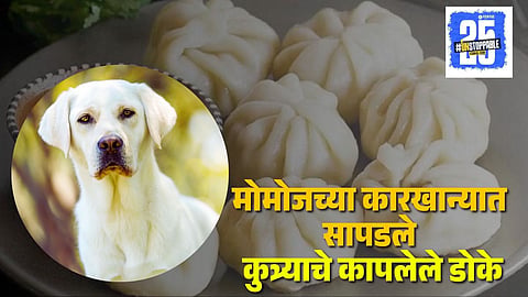 Dog Head in Momos Factory
