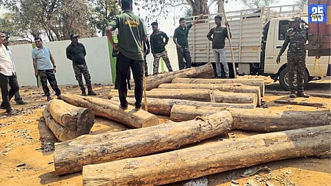 Teakwood Smuggling