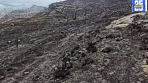 Tragic fire in Maharashtra claims the life of a livestock owner and two animals as wildfires persist."