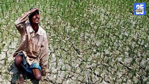 farmers