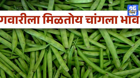 Agricultural News