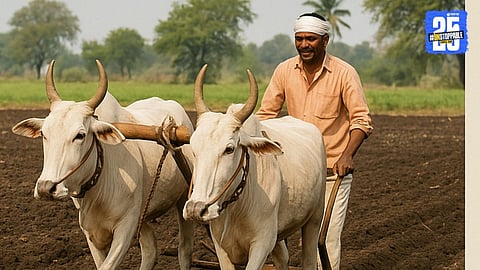 Agricultural Work 