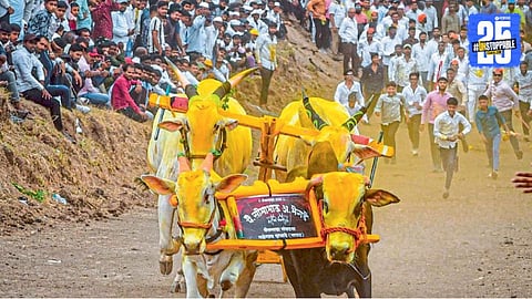 Bailgada Sharyat 