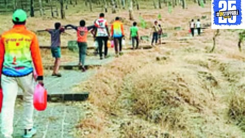 Youth enthusiastically planting trees at Sajjangad, dedicating one hour to nurture nature."