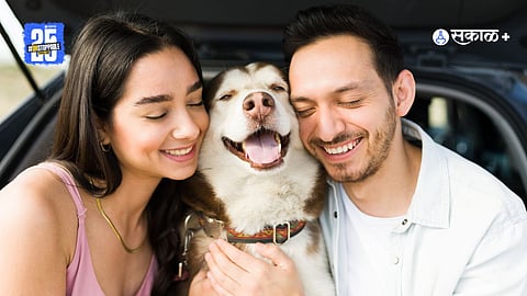 Pet lover partner