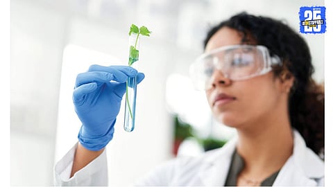 Biomanufacturing Green Growth Innovations in Biotechnology