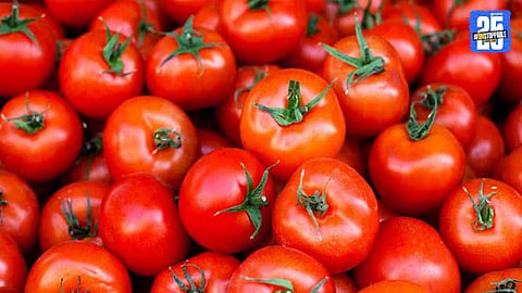 tomato