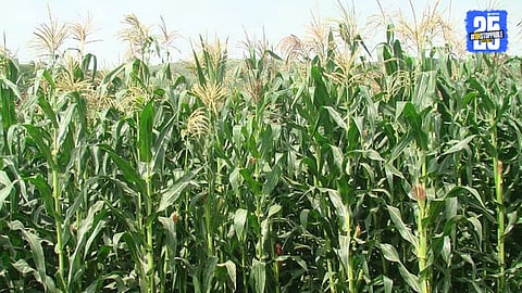 Agricultural News