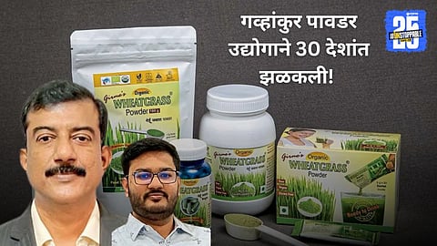 Wheat Germ Powder Industry 