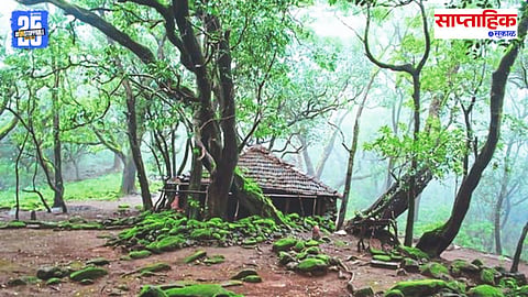 Sacred Forest Shrine