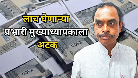 School Leaving Document Case